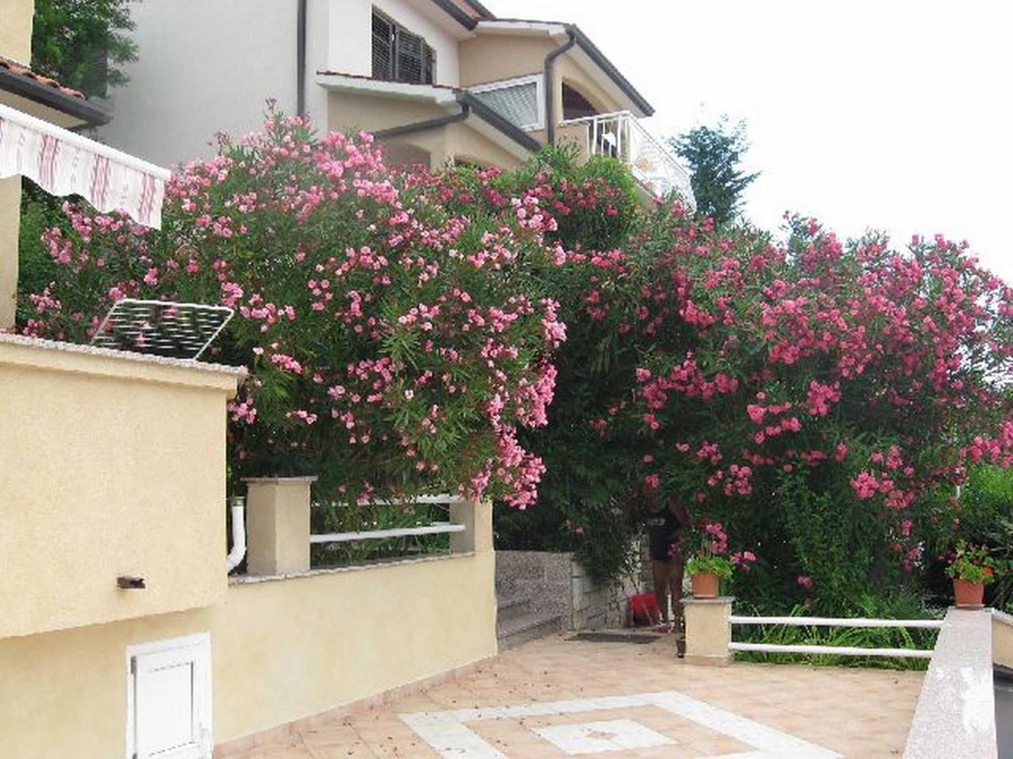 Apartments Silmare Rabac Exterior foto