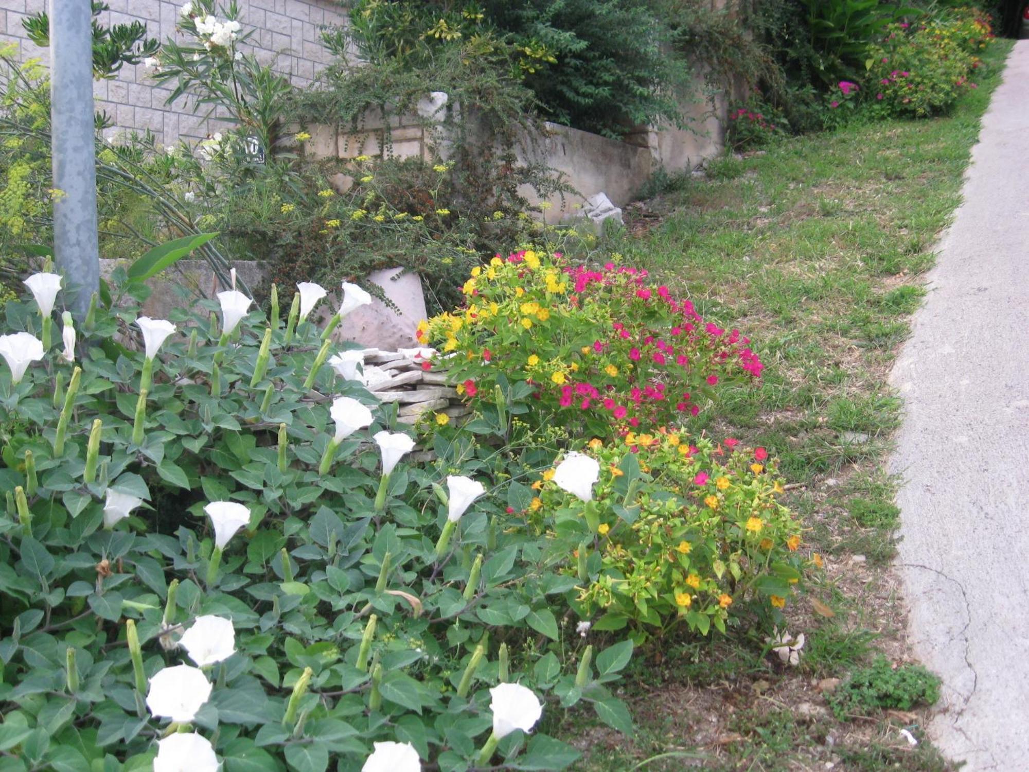 Apartments Silmare Rabac Cameră foto