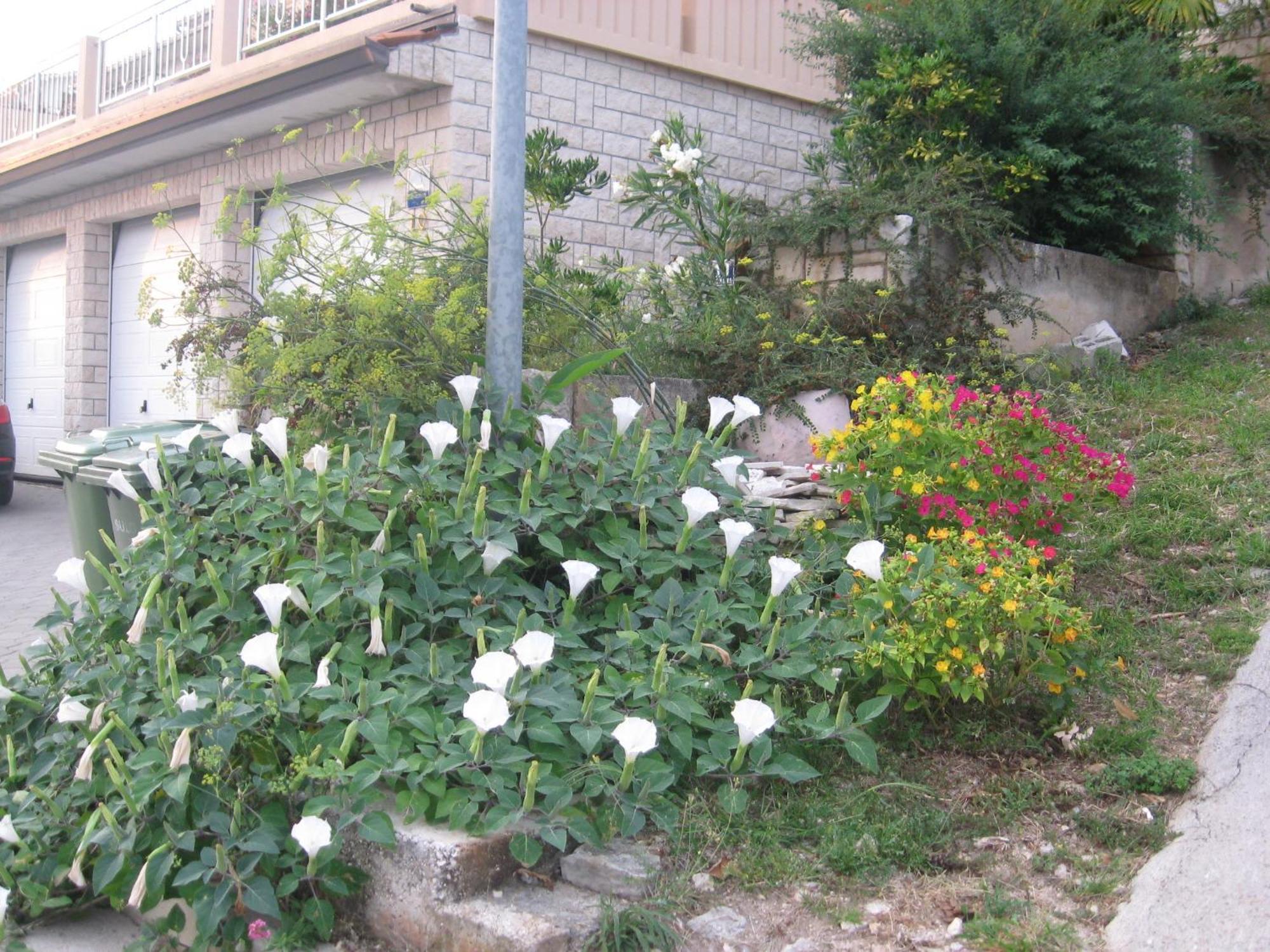 Apartments Silmare Rabac Cameră foto